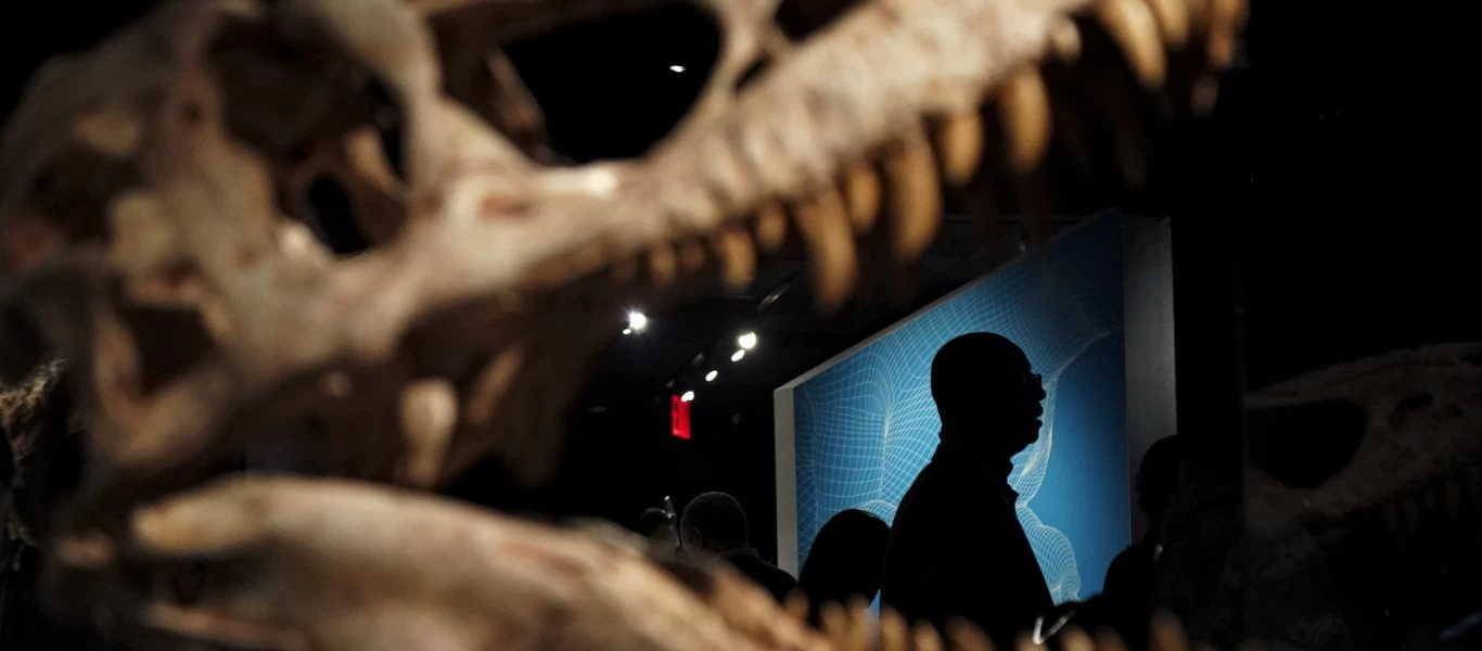 Συνελήφθη φοιτητής στην Αυστραλία: Εισέβαλε σε κλειστό μουσείο για να... βγάλει σέλφι με δεινόσαυρους (βίντεο)